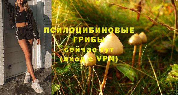 гашишное масло Богданович