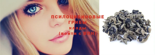 эйфоретик Богородицк