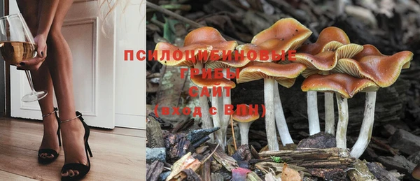 эйфоретик Богородицк