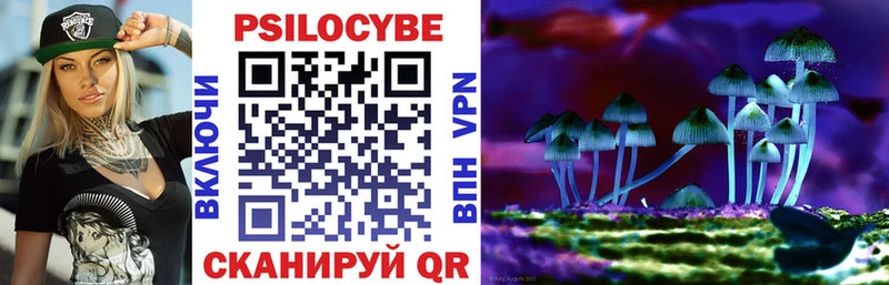 блэк спрут вход  Ярославль  Псилоцибиновые грибы мухоморы 